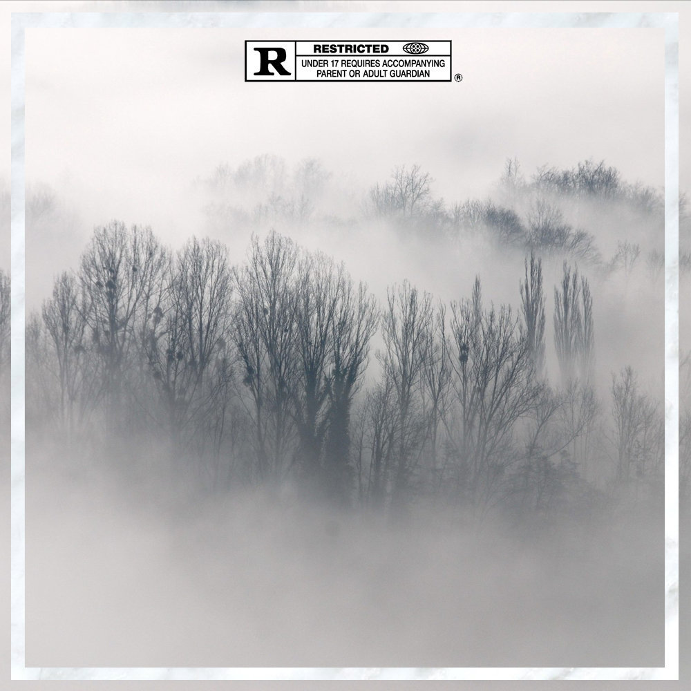 Album cover art for "Virulent" by MISOGI & HNRK