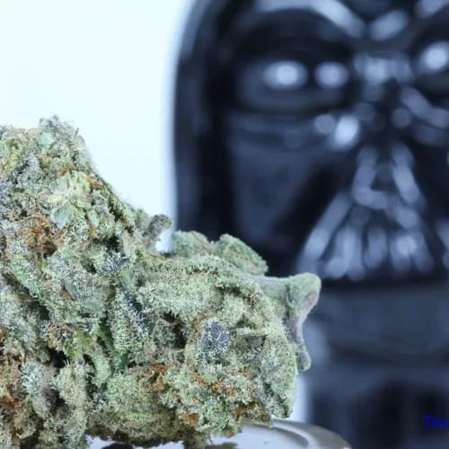Album cover art for "Lord Vader Kush" by Ruben Slikk & Denzel Curry