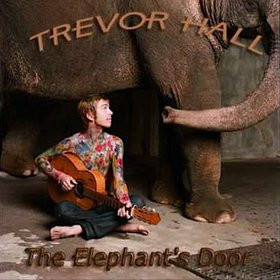 Album cover art for "Other Ways" by Trevor Hall