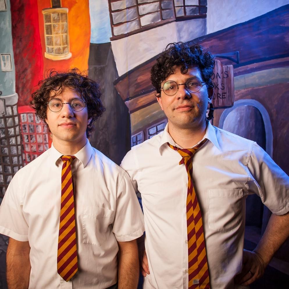 Cover image for Harry and the Potters