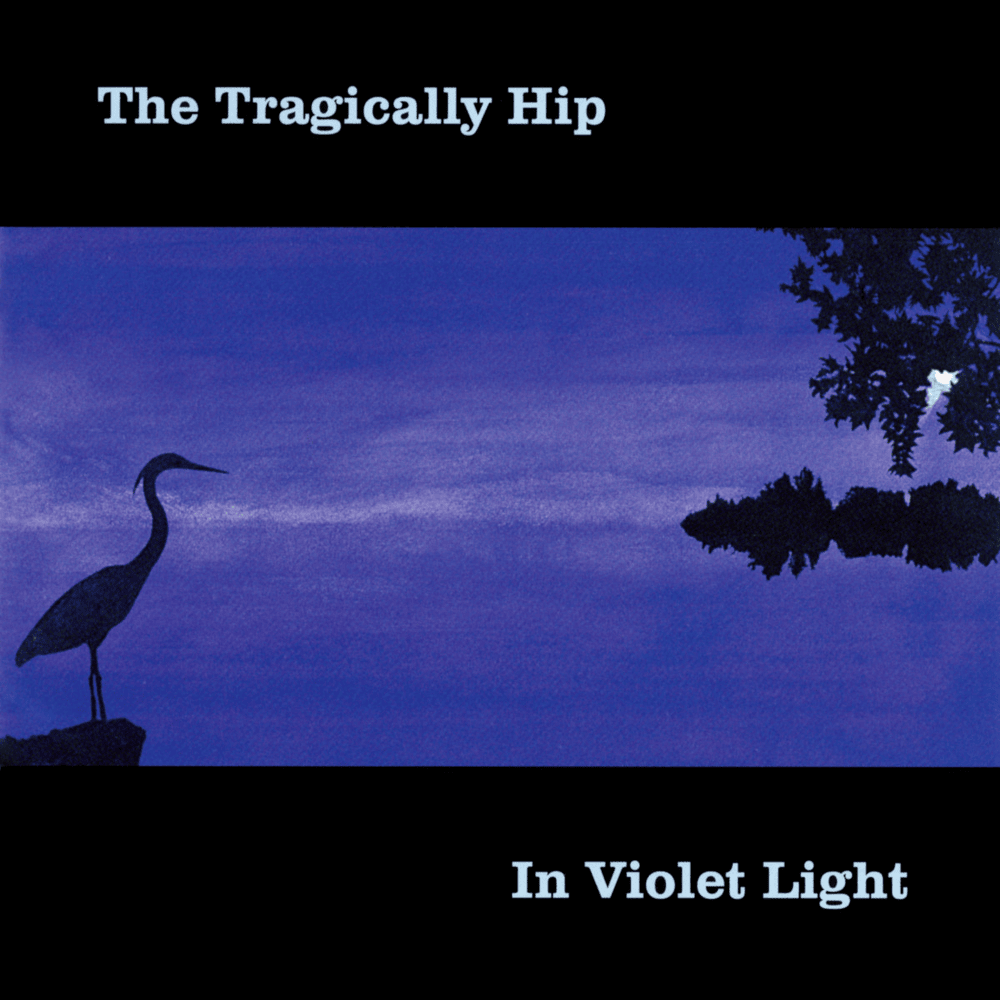 Cover image for In Violet Light
