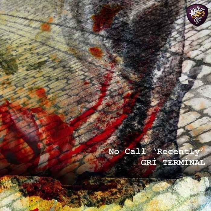 Cover image for Gri Terminal