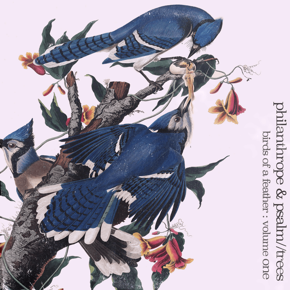 Cover image for Birds of a Feather, Vol. 1
