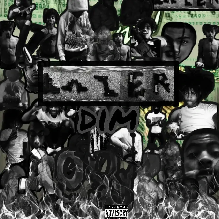 Cover image for LAZER DIM