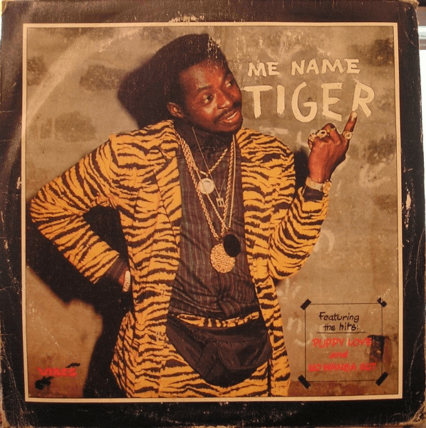 Cover image for Me Name Tiger
