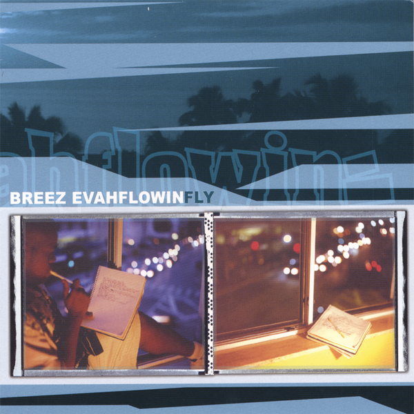 Cover image for Fly