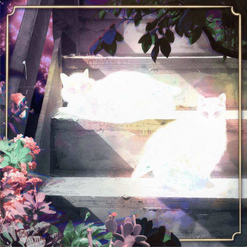 Cover image for Retinal Bloom