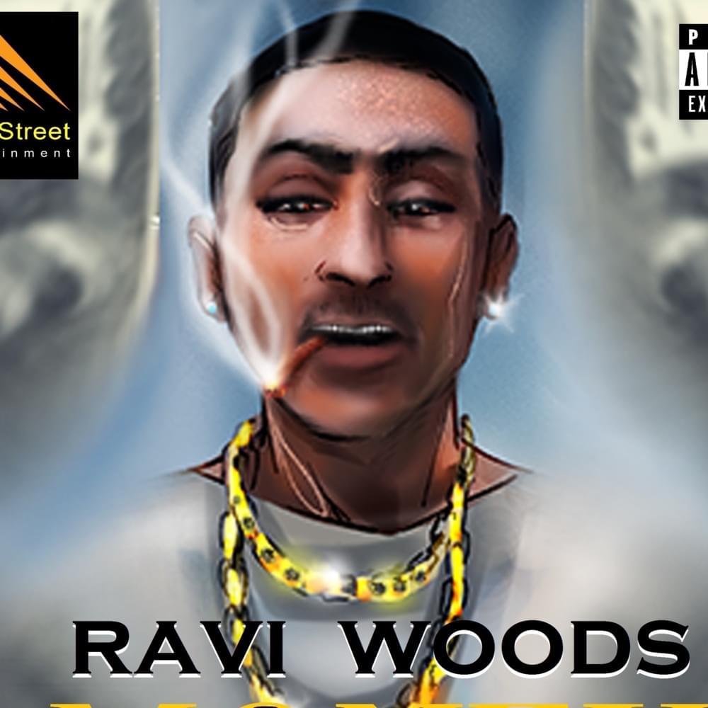 Cover image for Ravi Woods