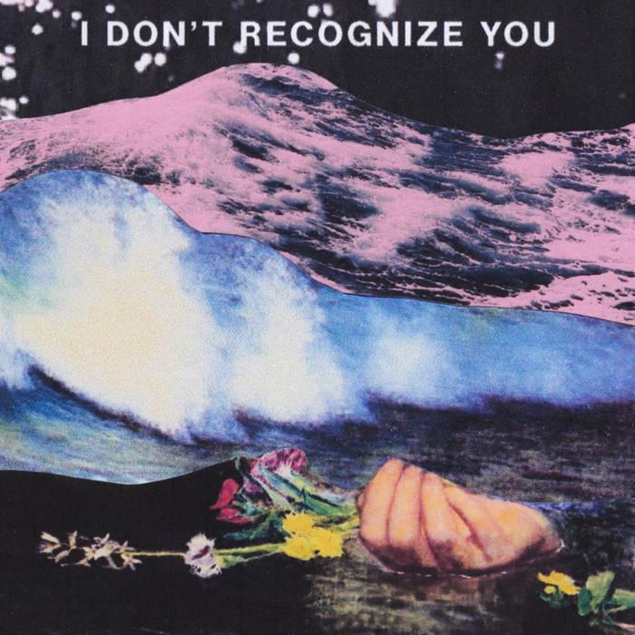I Don’t Recognise You by NewDad
