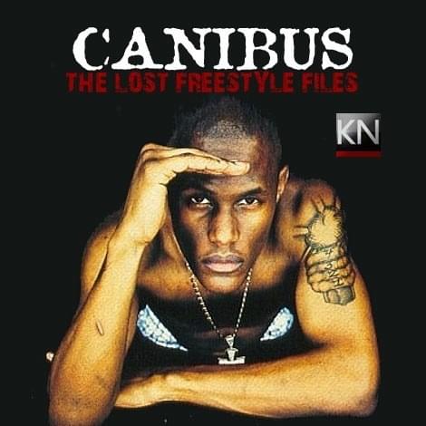 Cover image for The Lost Freestyle Files (Mixtape)
