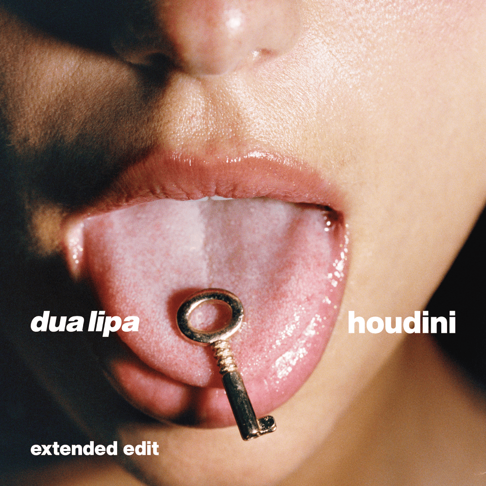 Album cover art for "Houdini (Extended)" by Dua Lipa