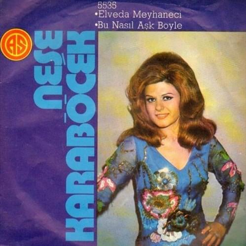 Album cover art for "Elveda Meyhaneci" by Neşe Karaböcek