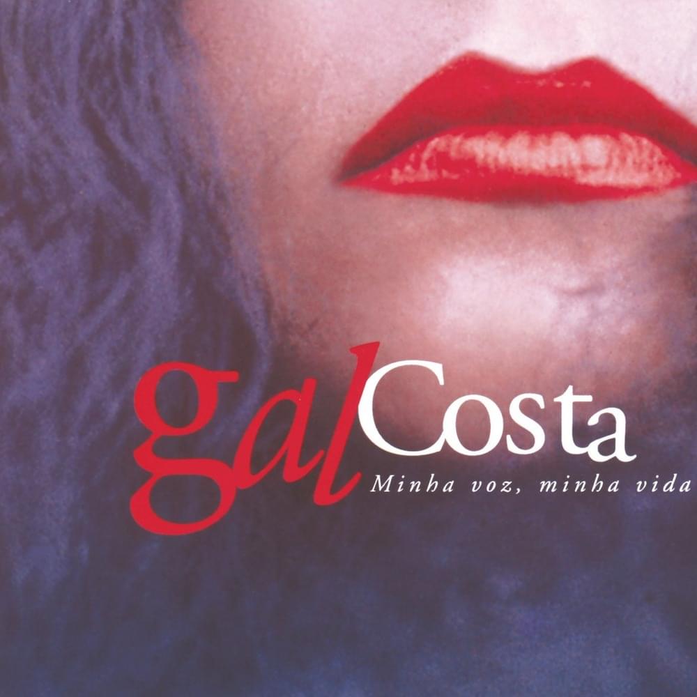 Cover image for Minha Voz, Minha Vida