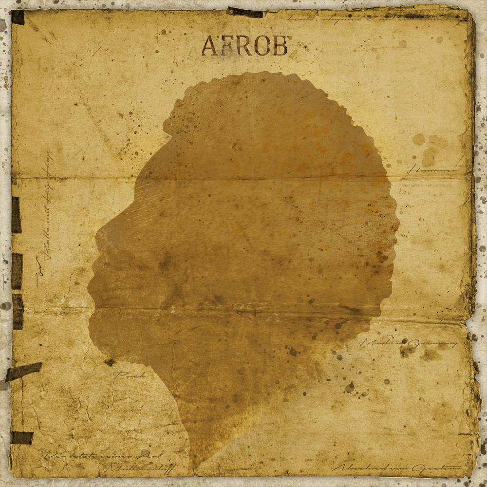 Album cover art for "Nein" by Afrob (DEU)
