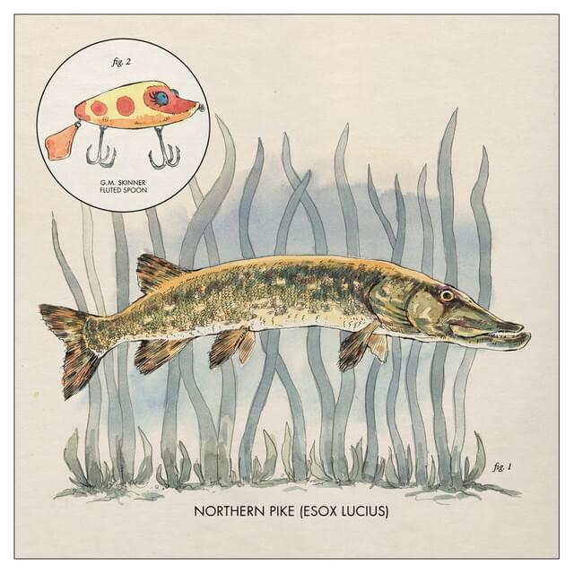 Album cover art for "Lay It On Me Baby" by Nick Lowe