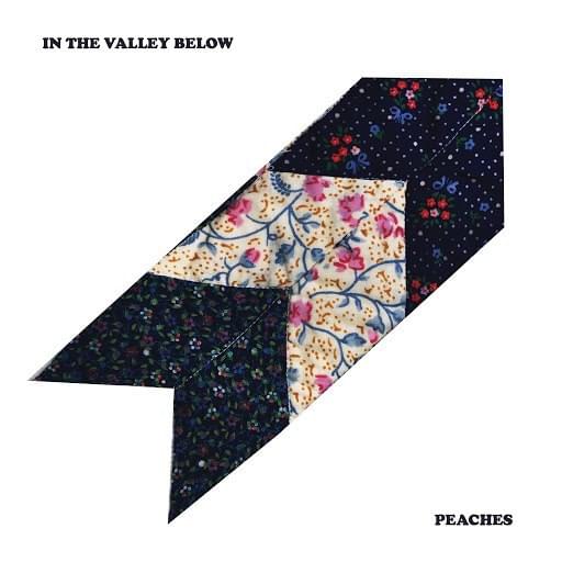 Album cover art for "Peaches" by In the Valley Below