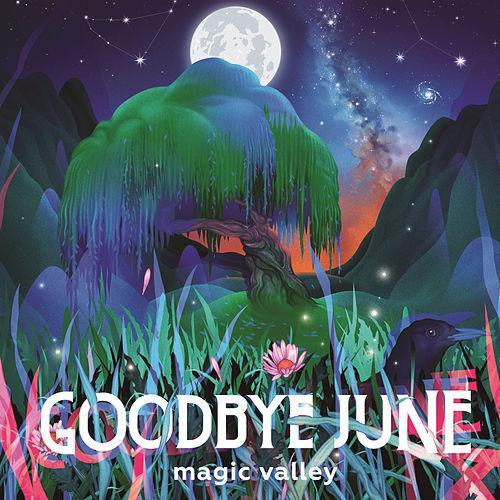 Cover image for Magic Valley
