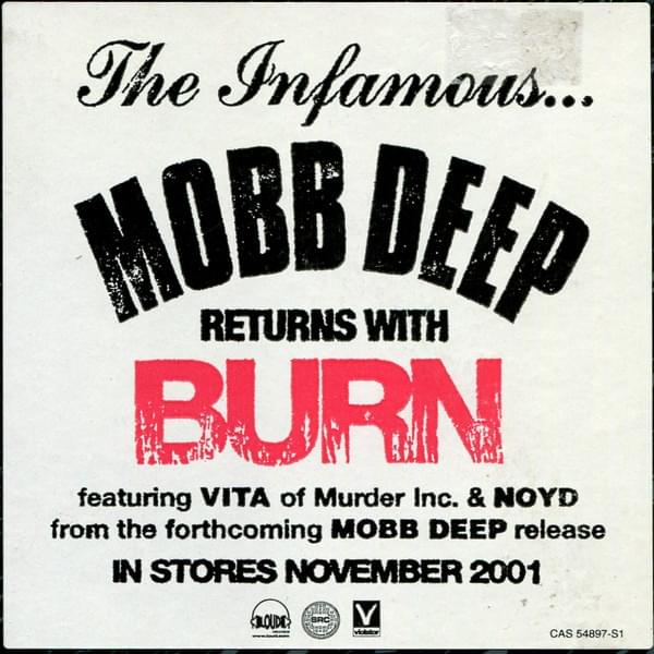 Album cover art for "The Learning (Burn)" by Mobb Deep & Big Noyd & Vita