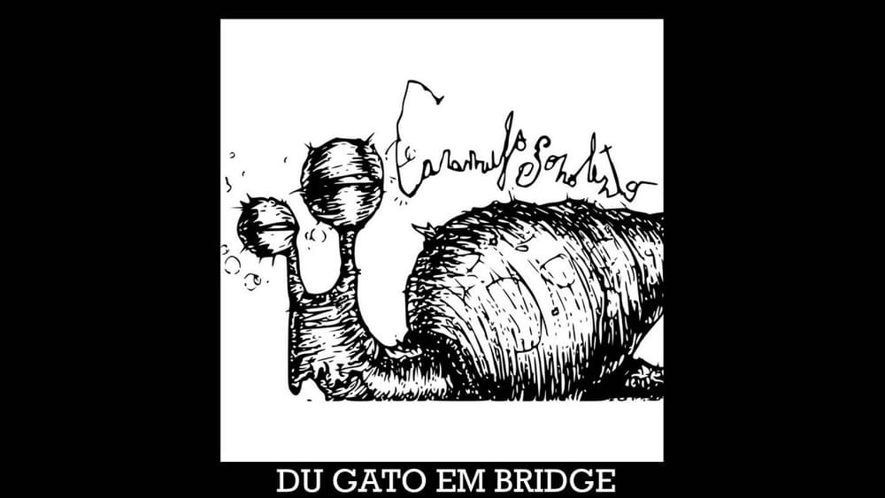 Du Gato em Bridge by Caramujo Sonolento