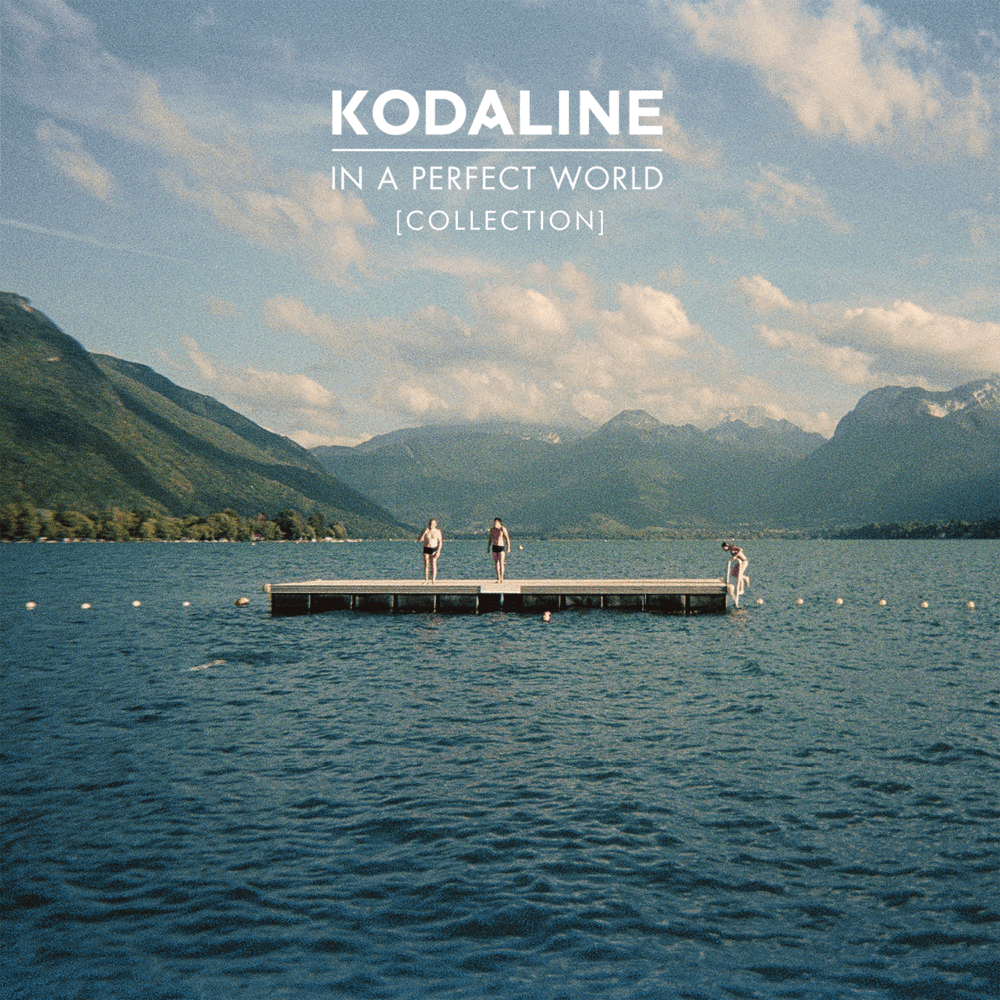 Cover image for In A Perfect World (Collection)