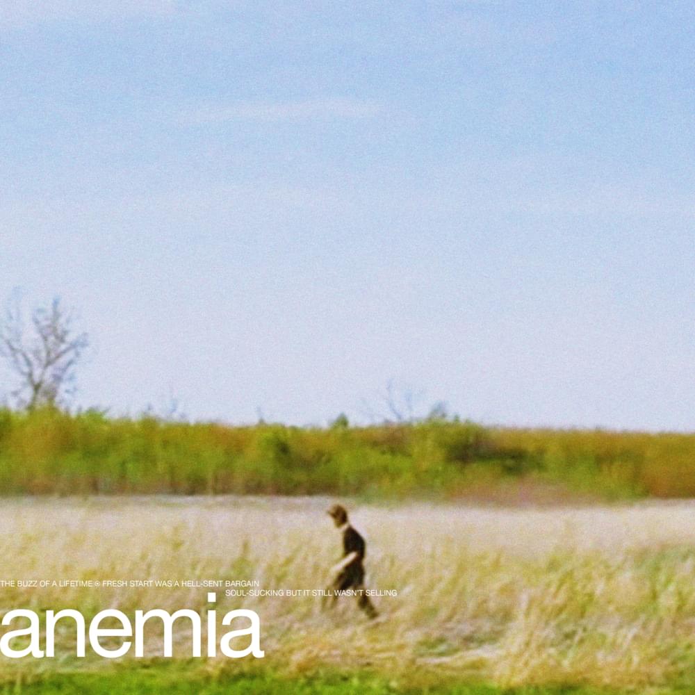 Album cover art for "​anemia" by knapsack