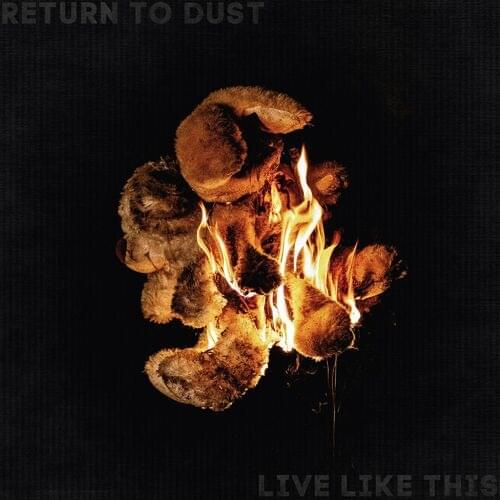 Live Like This by Return To Dust