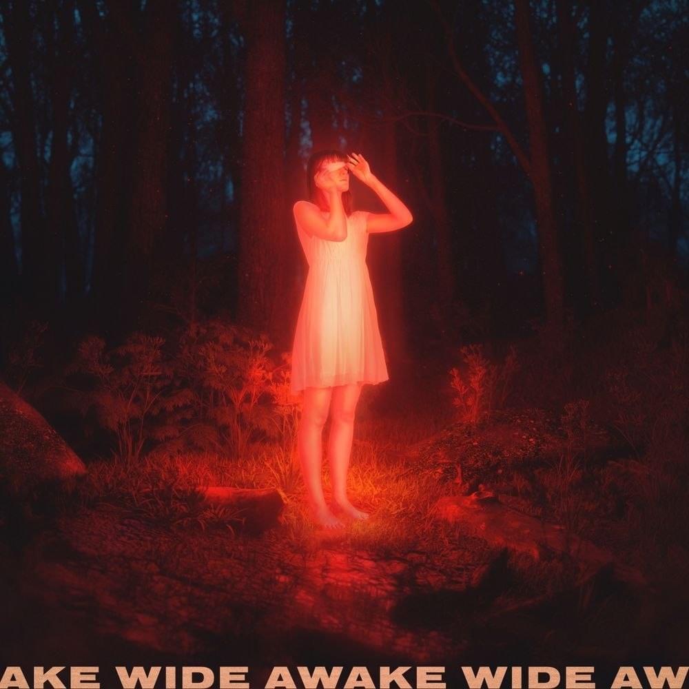 Album cover art for "Wide Awake" by Petit Biscuit