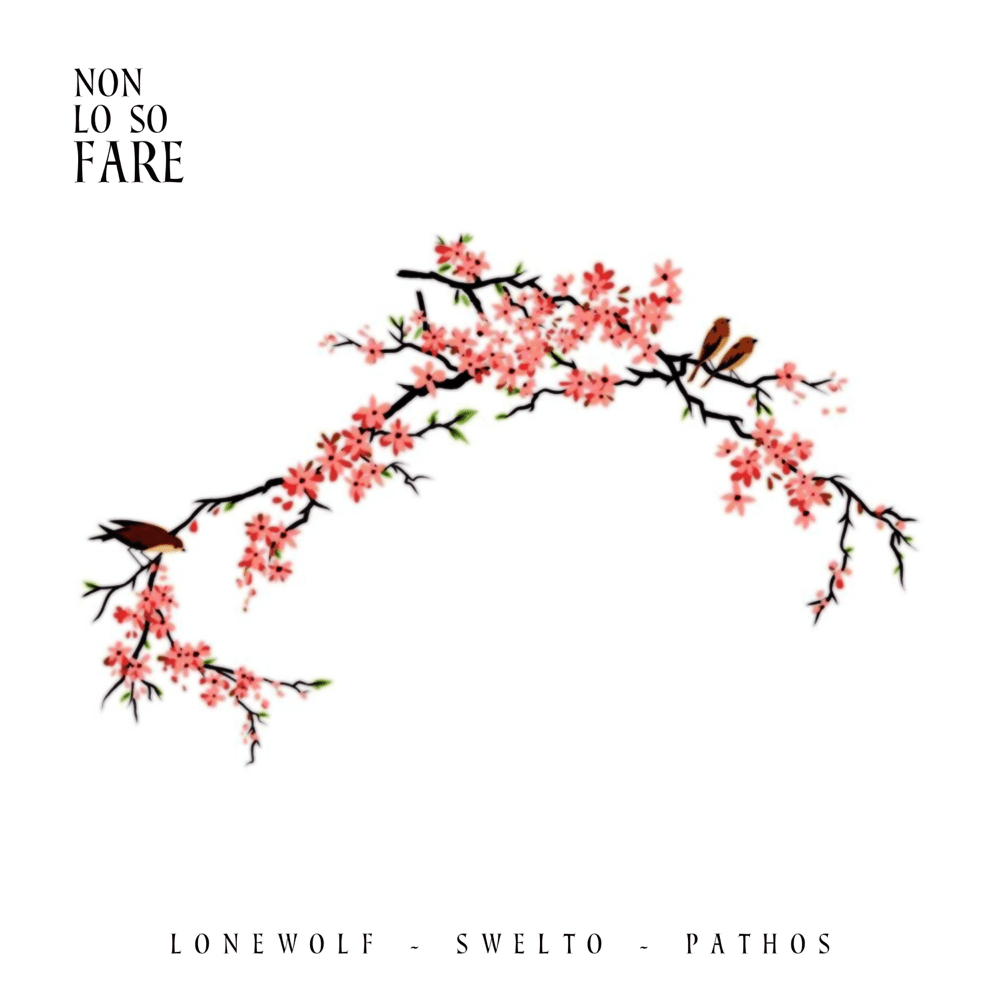 Album cover art for "Non lo so fare" by LoneWolf (ITA)