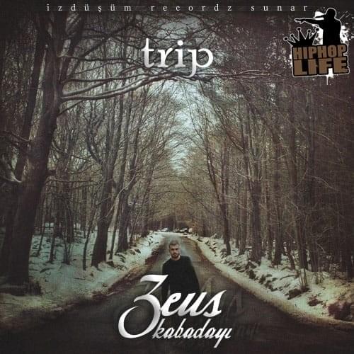 Cover image for Trip