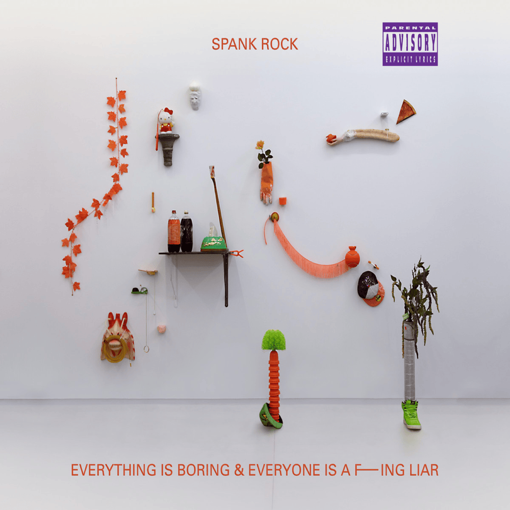 Nasty by Spank Rock