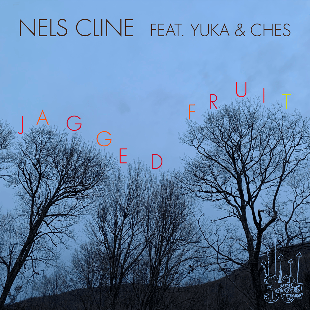 Album cover art for "Jagged Fruit" by Nels Cline & Yuka Honda & Ches Smith
