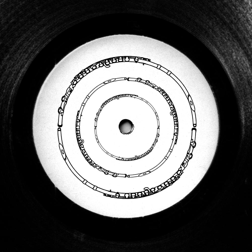 Flutes by Hot Chip