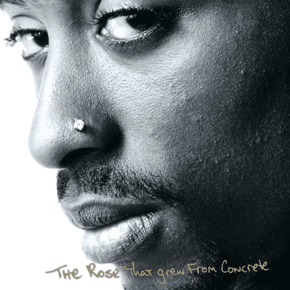 Cover image for The Rose That Grew From Concrete