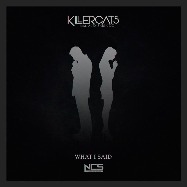 Album cover art for "What I Said" by Killercats & Alex Skrindo