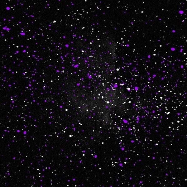 Cover image for Planetarium