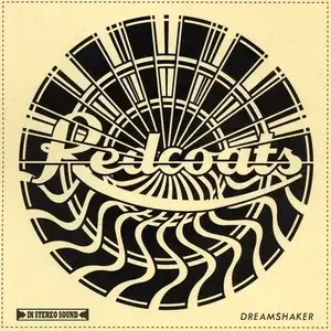 Album cover art for "Dreamshaker" by triple j