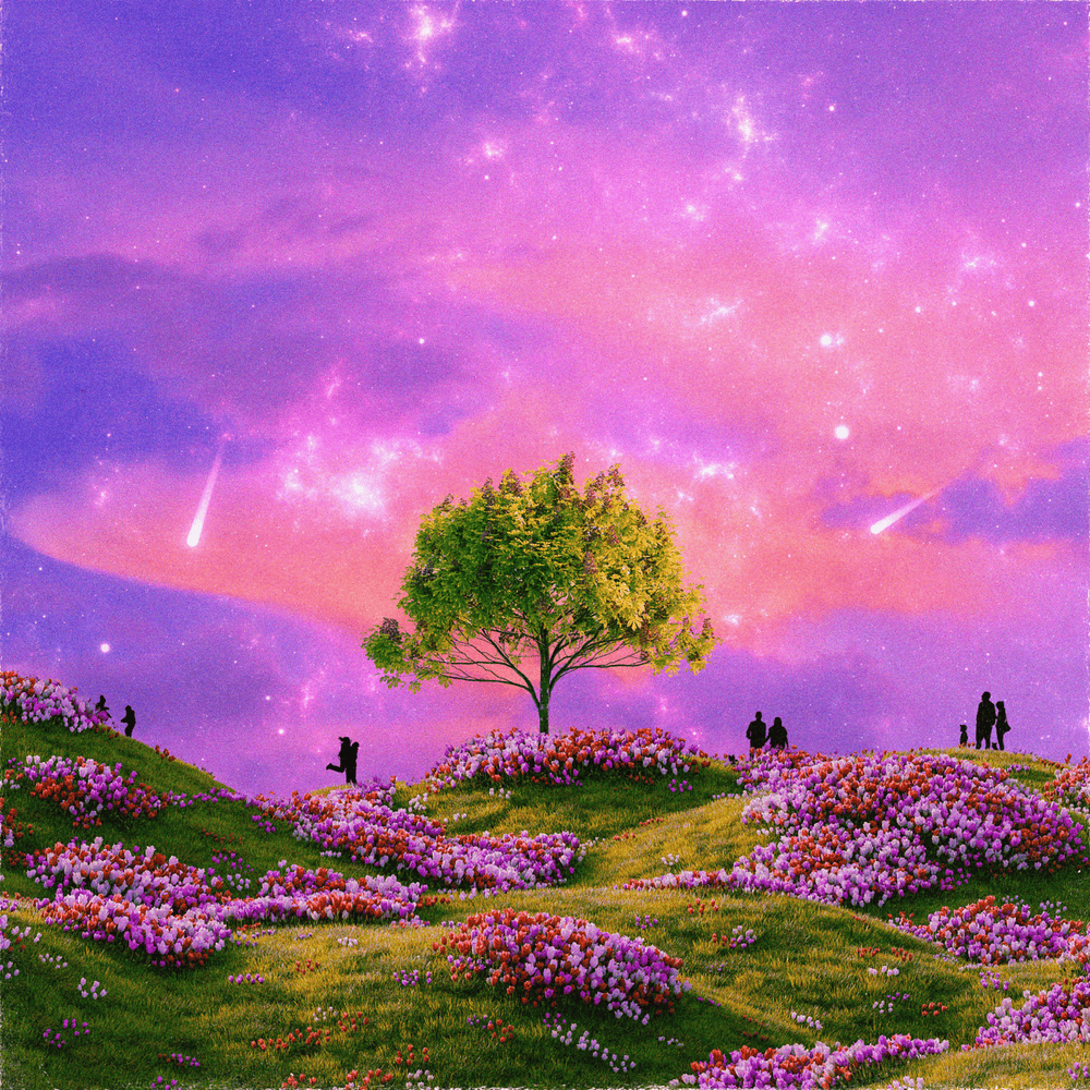 Cover image for Stories