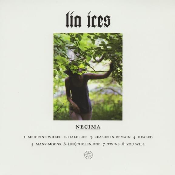 Twins by Lia Ices