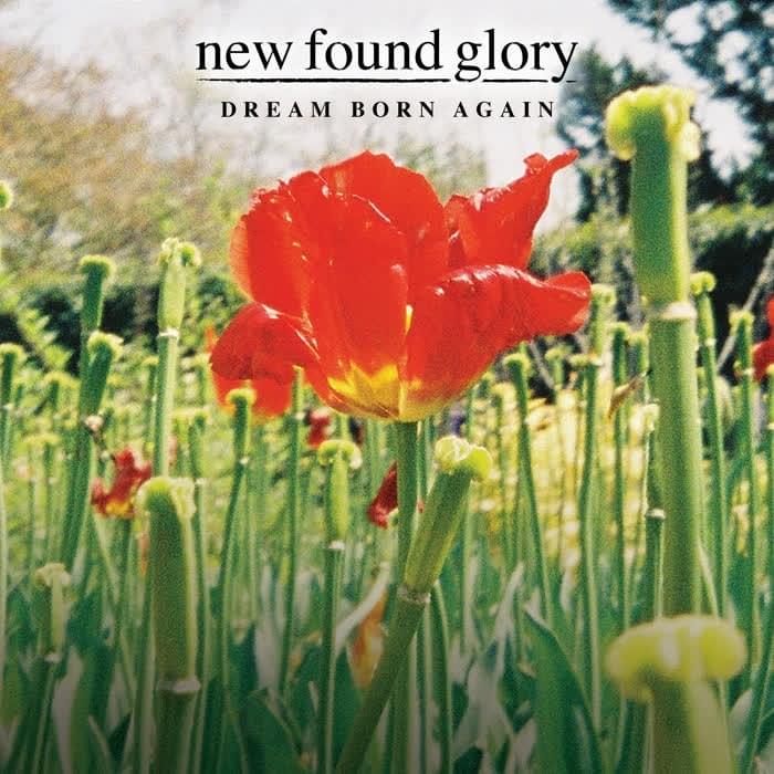 Album cover art for "Dream Born Again" by New Found Glory