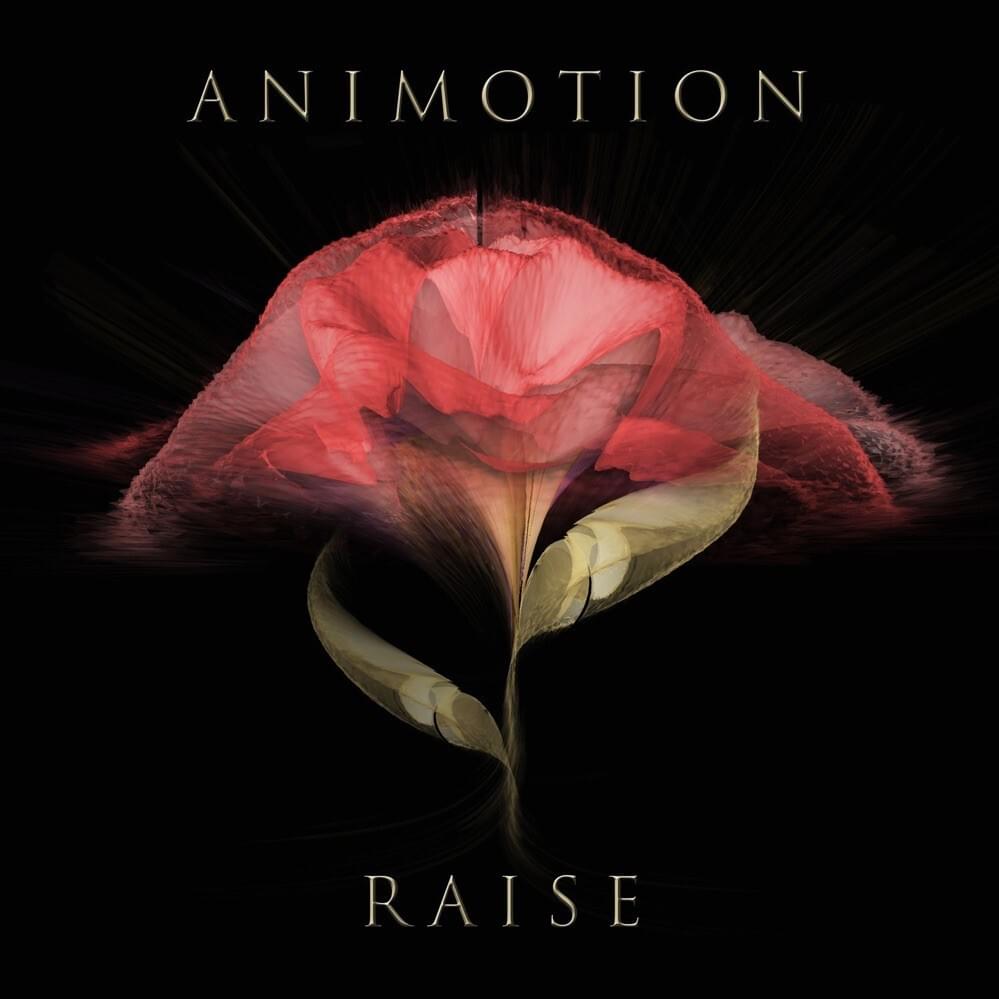 Cover image for Raise Your Expectations
