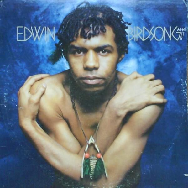 Pretty Brown Skin by Edwin Birdsong