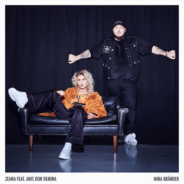 Album cover art for "Mina bränder" by Zeana & Anis Don Demina