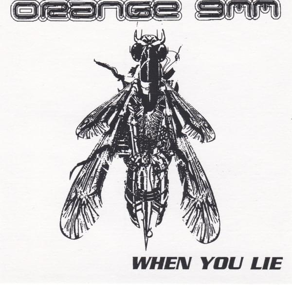 Album cover art for "When You Lie" by Orange 9mm
