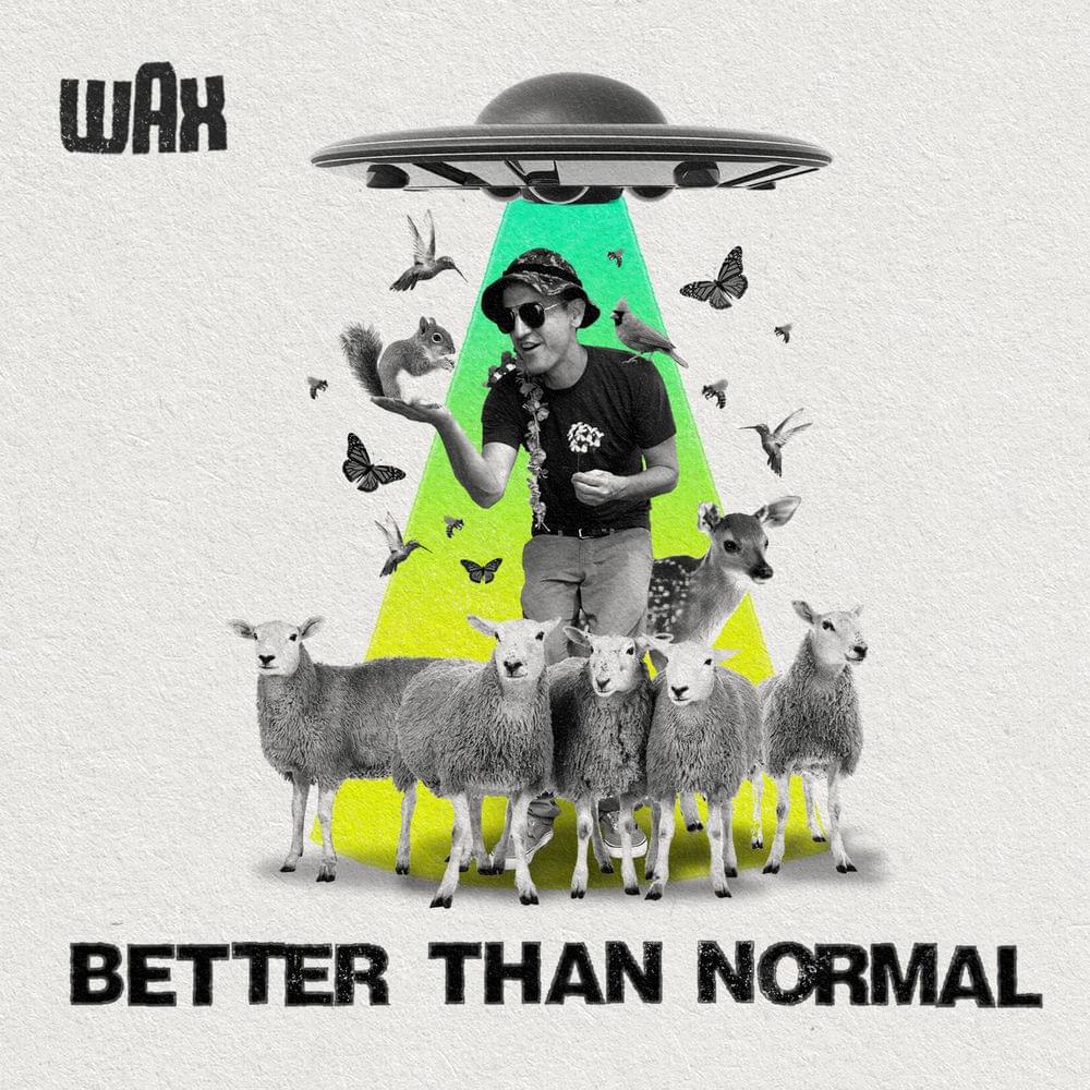 Album cover art for "Better Than Normal" by Wax