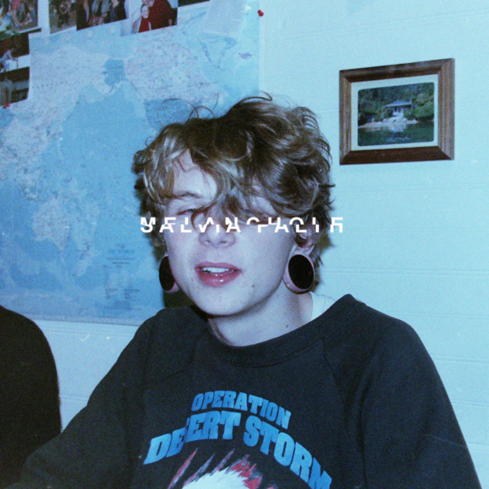 Album cover art for "​i don’t want to ask your father or anything" by ‌salvia palth