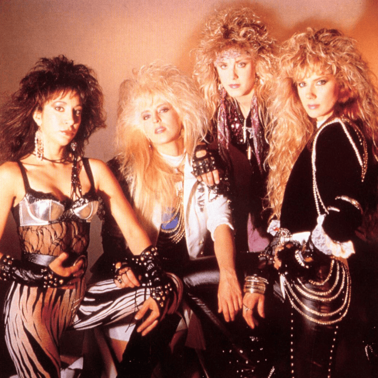 Cover image for Vixen (Rock)