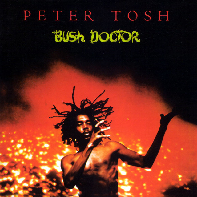 Cover image for Bush Doctor