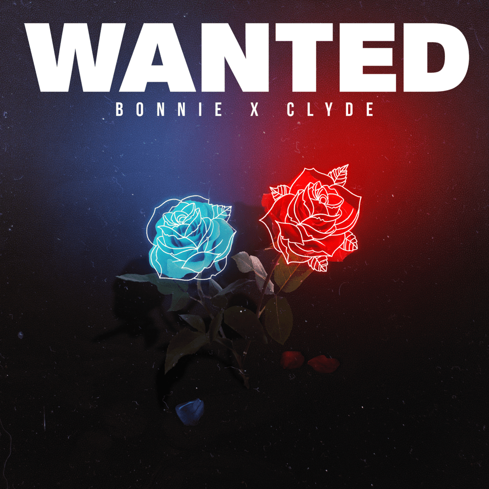Hooked by BONNIE X CLYDE