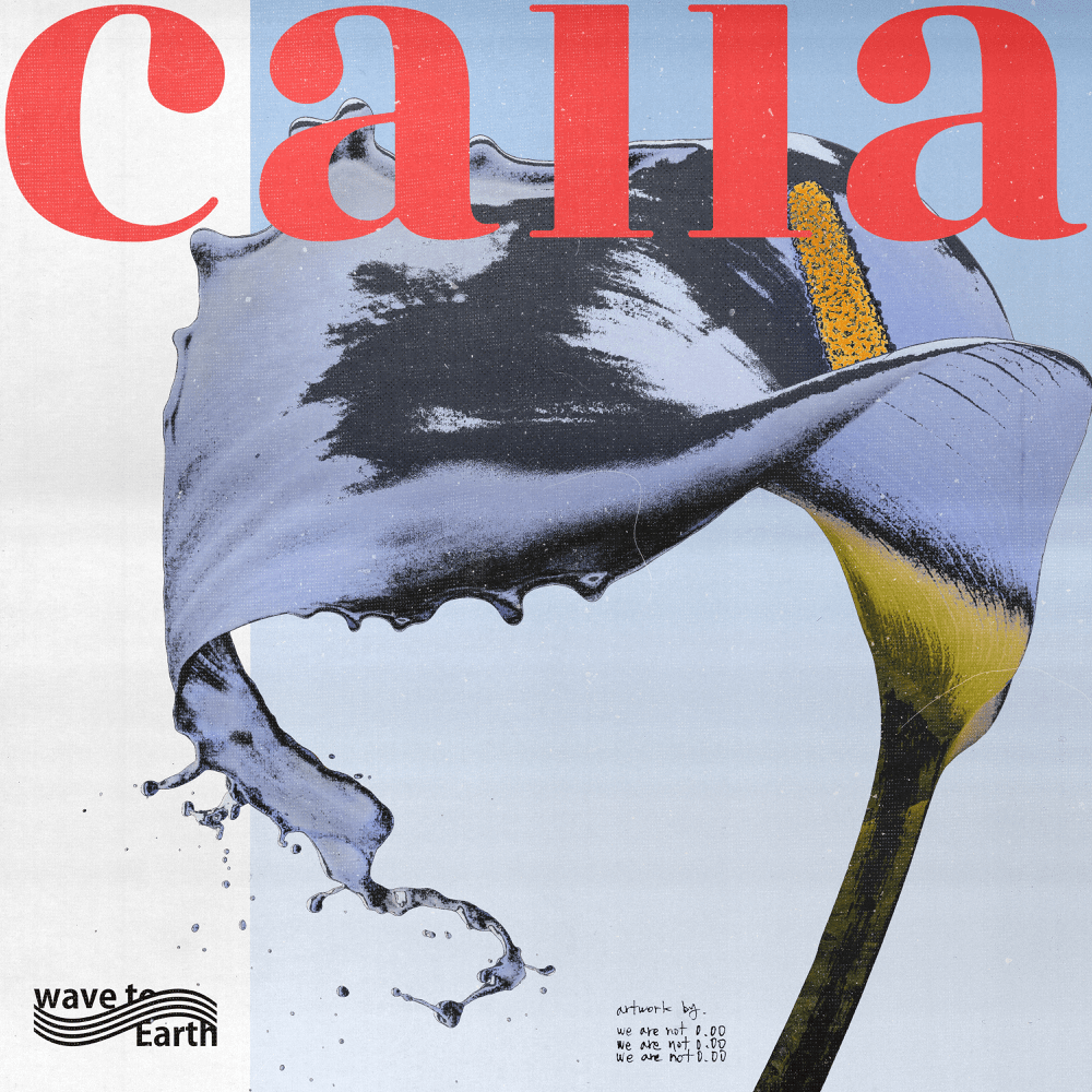Album cover art for "calla" by wave to earth
