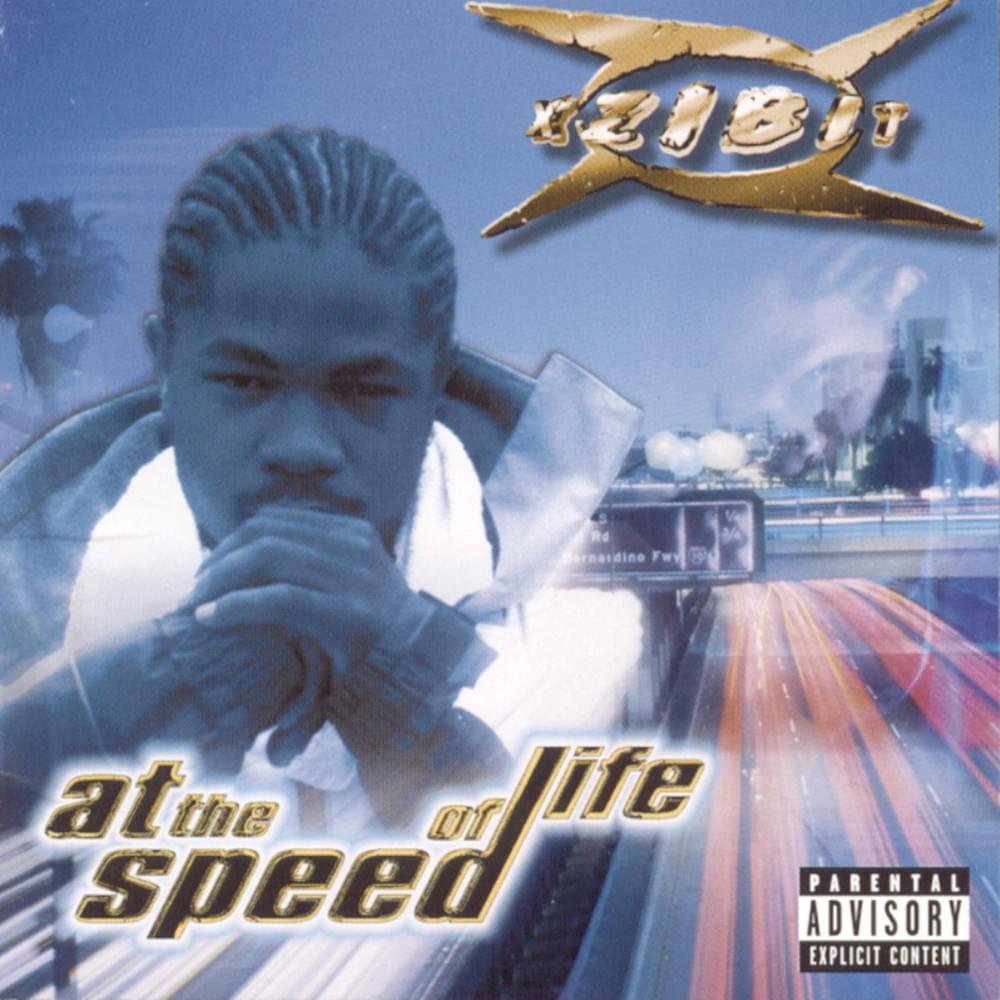 Cover image for At the Speed of Life